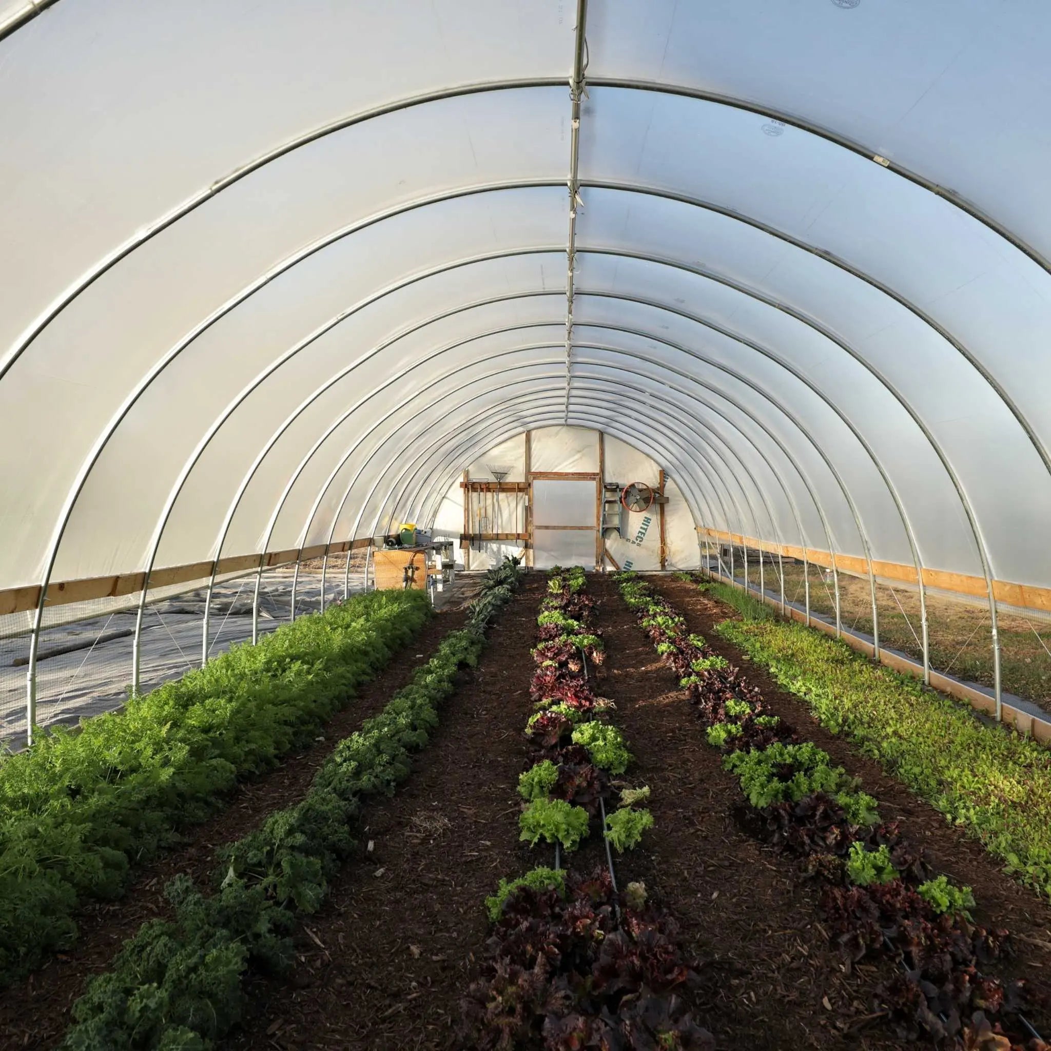 Bootstrap Farmer Greenhouse DIY Kit