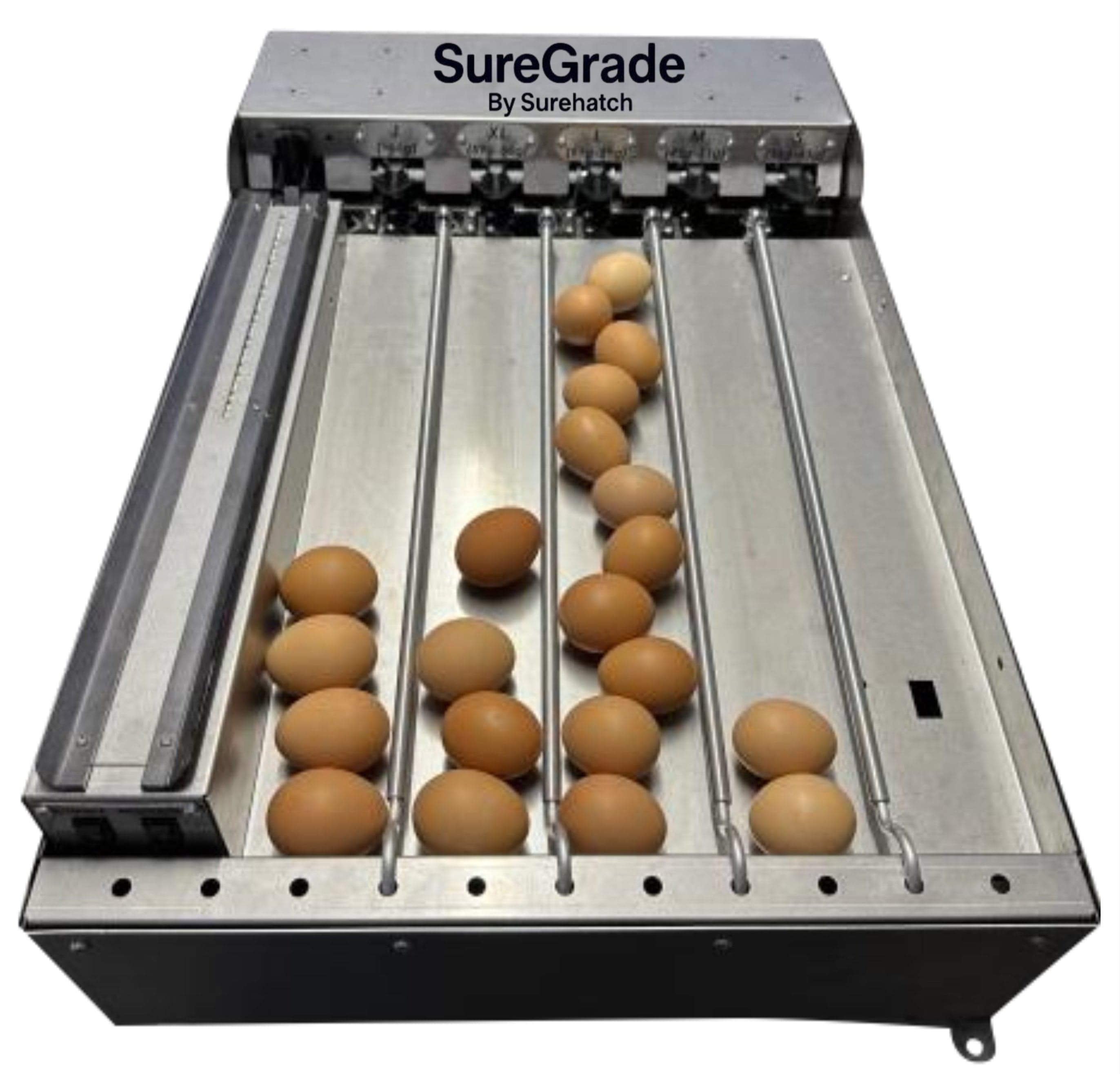 SureGrade™ 750 Egg Grader - Grade 750 Eggs per hour