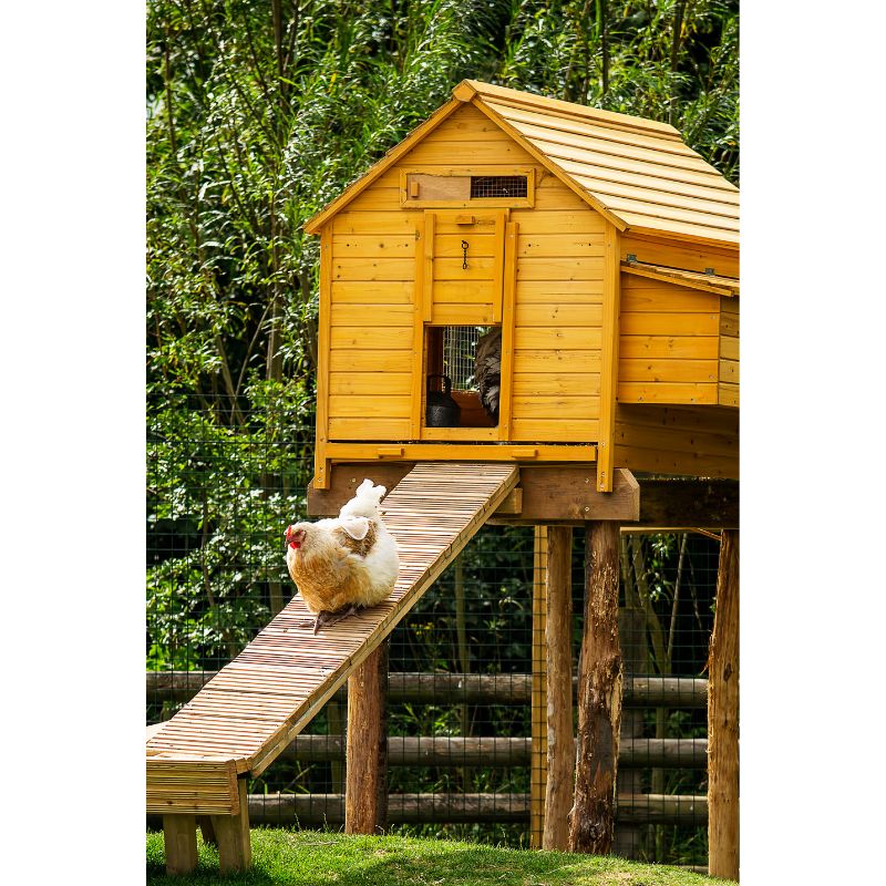 Chicken Coops