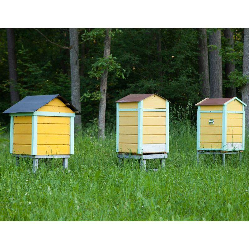 Beehive Supplies