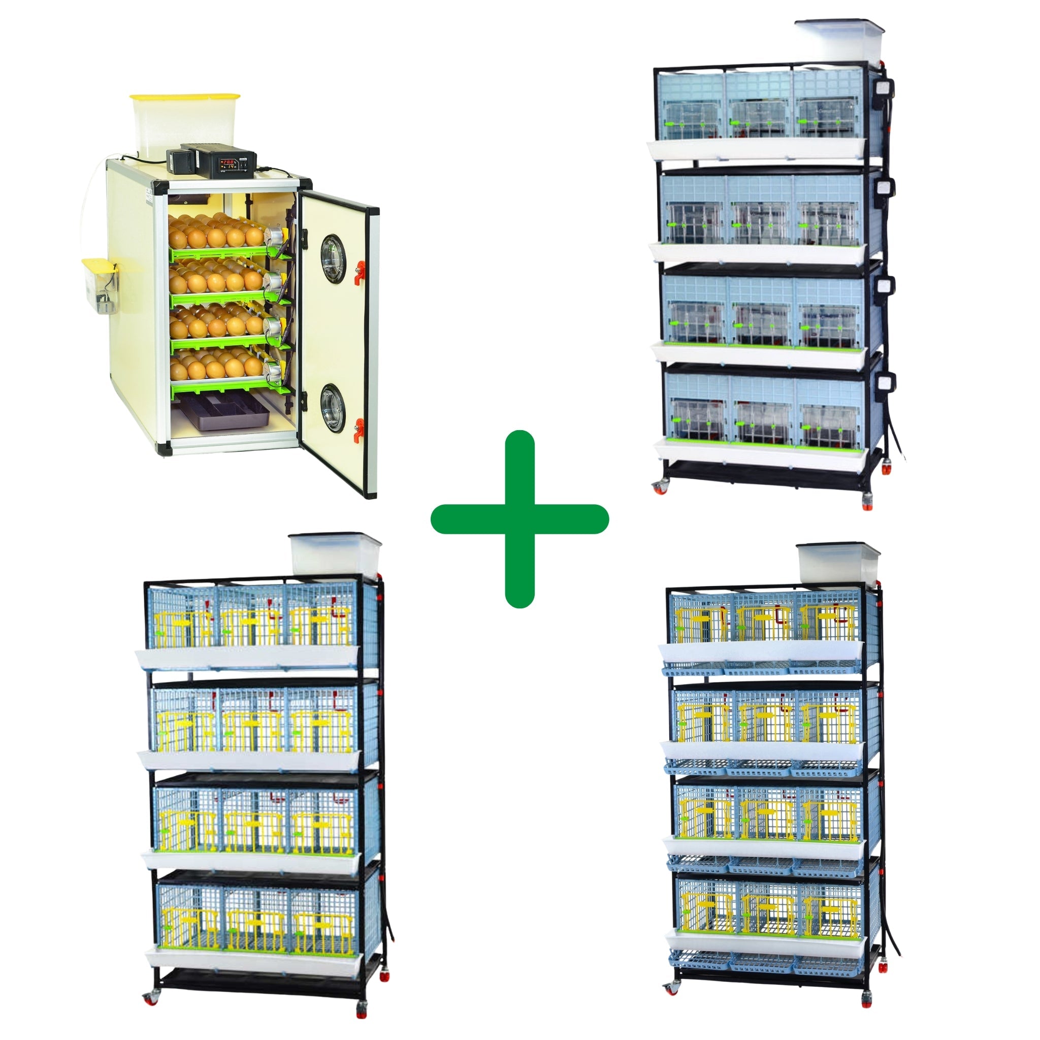 Hatching Time Breeding - Chicken Professional Kit