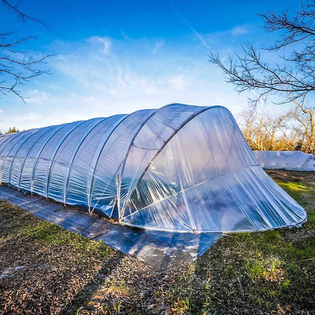 Bootstrap Farmer All-Metal Butterfly Door Caterpillar Tunnel Kit