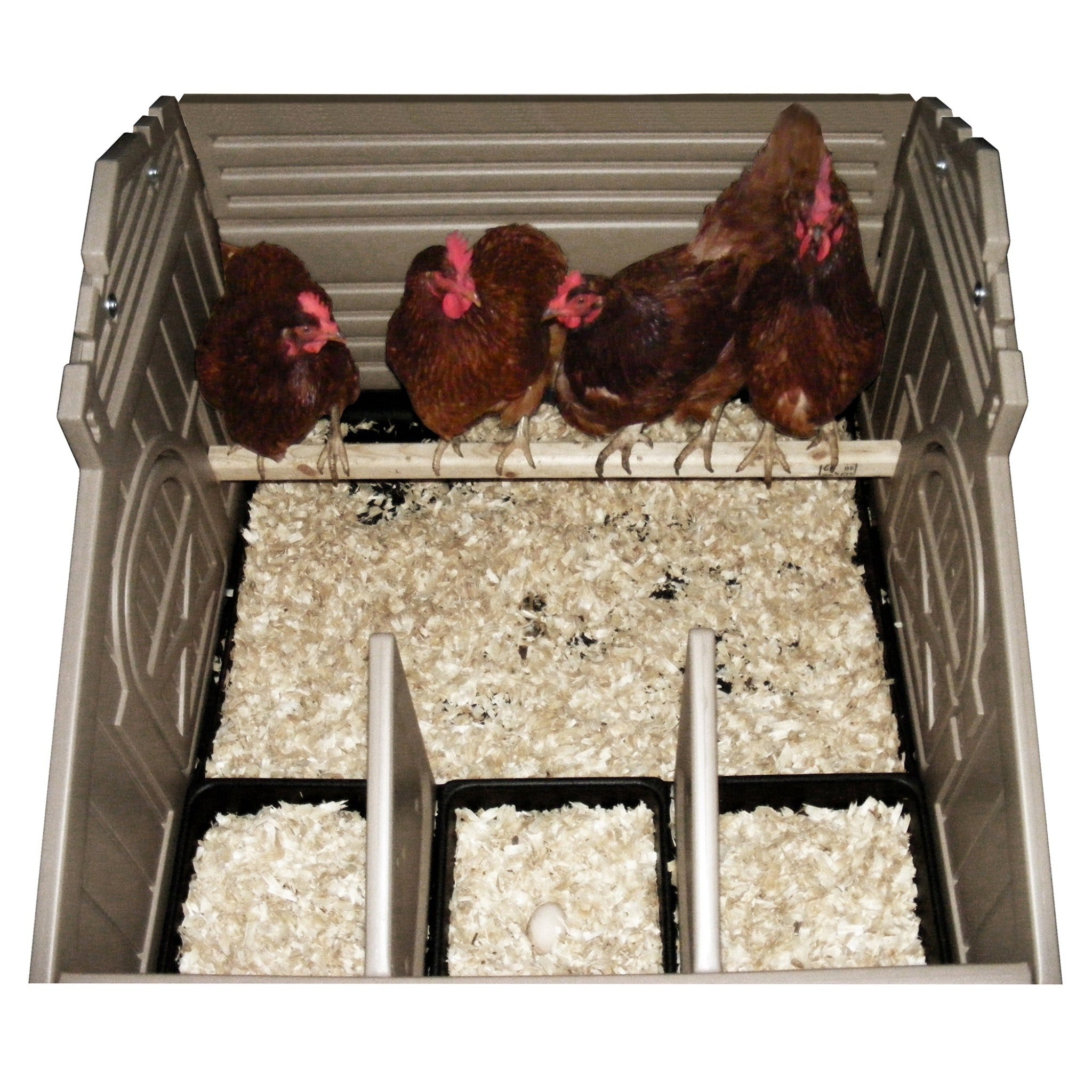 Hatching Time Standard Chicken Coop with Stand and Stairs & Run