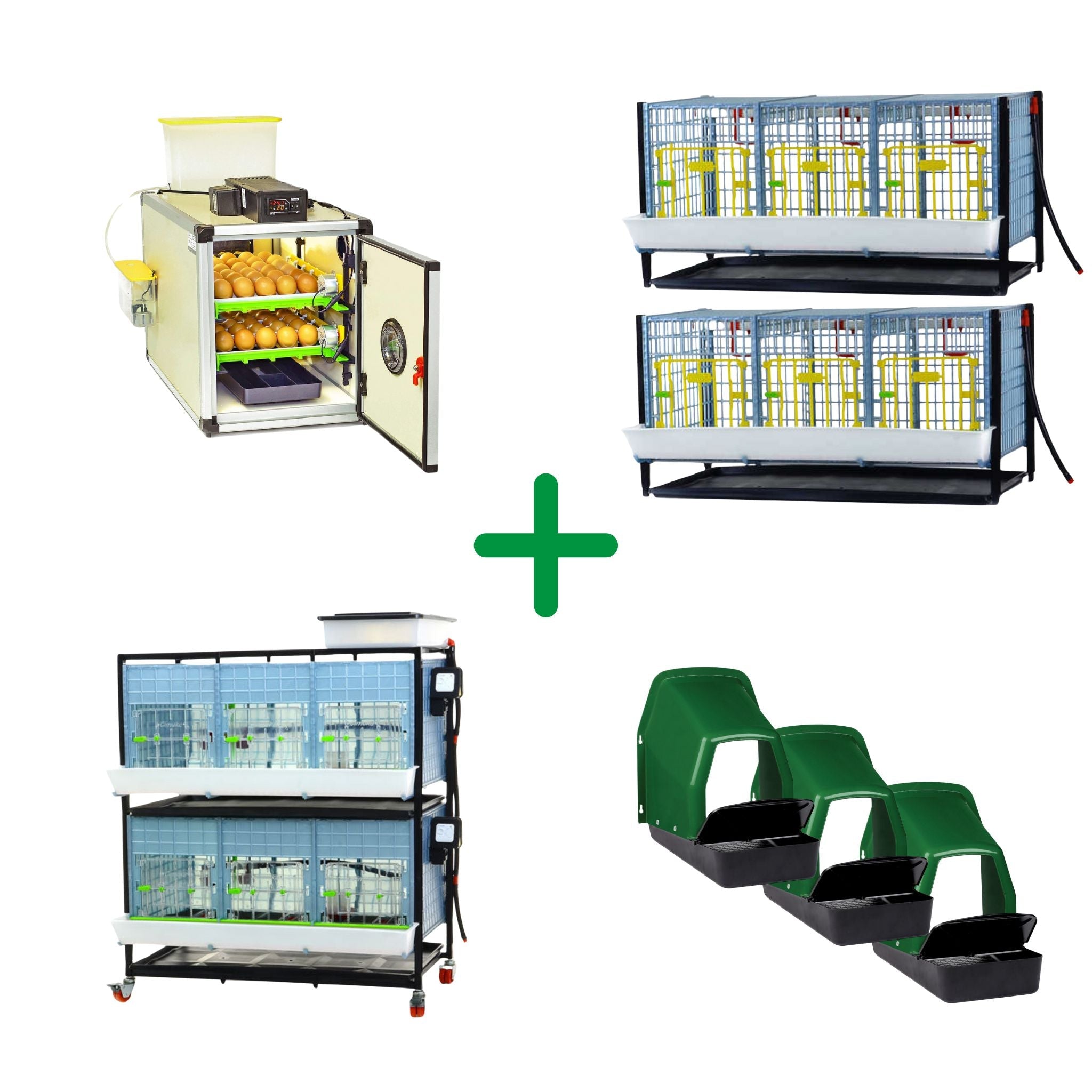 Hatching Time Free Range - Chicken Semi-Pro Kit