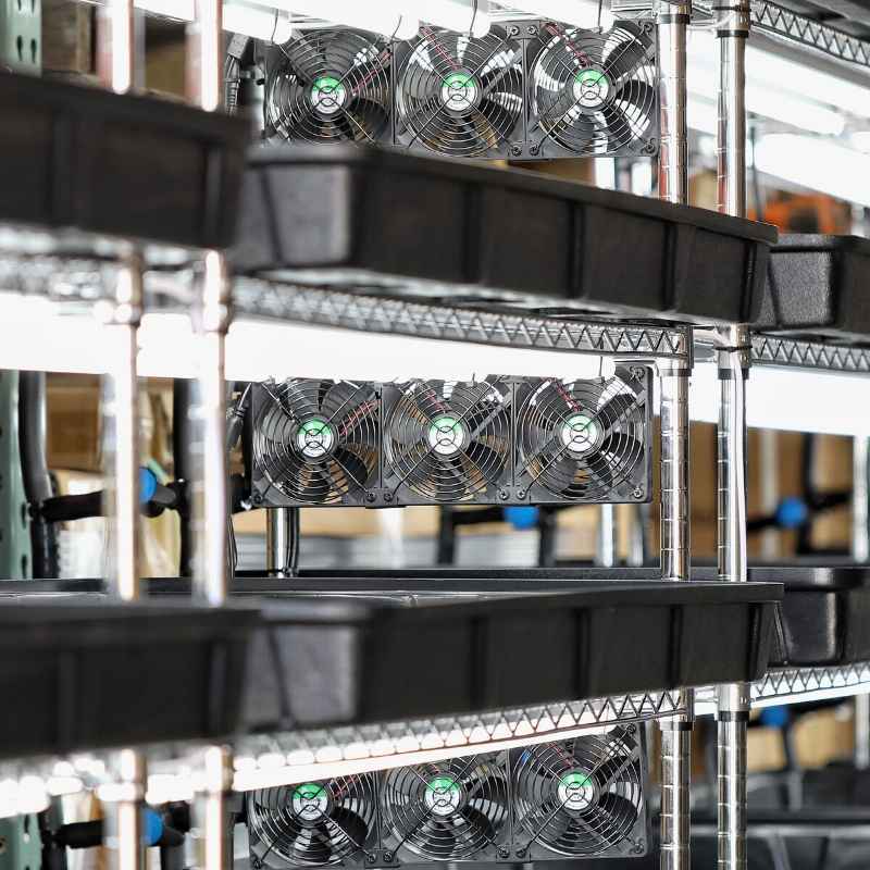 Bootstrap Farmer Grow Rack - Automated Vertical Propagation
