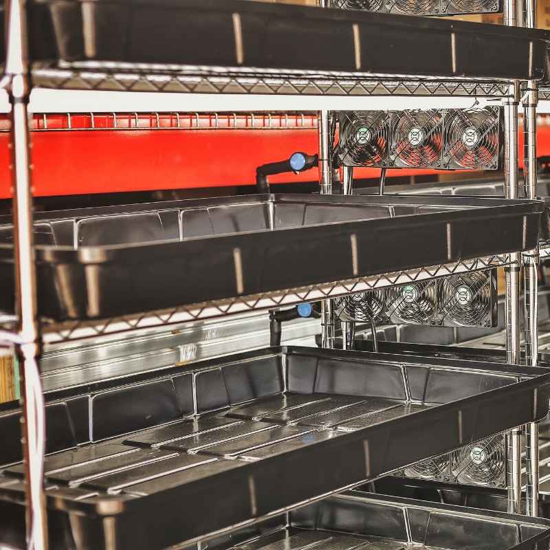 Bootstrap Farmer Grow Rack - Automated Vertical Propagation