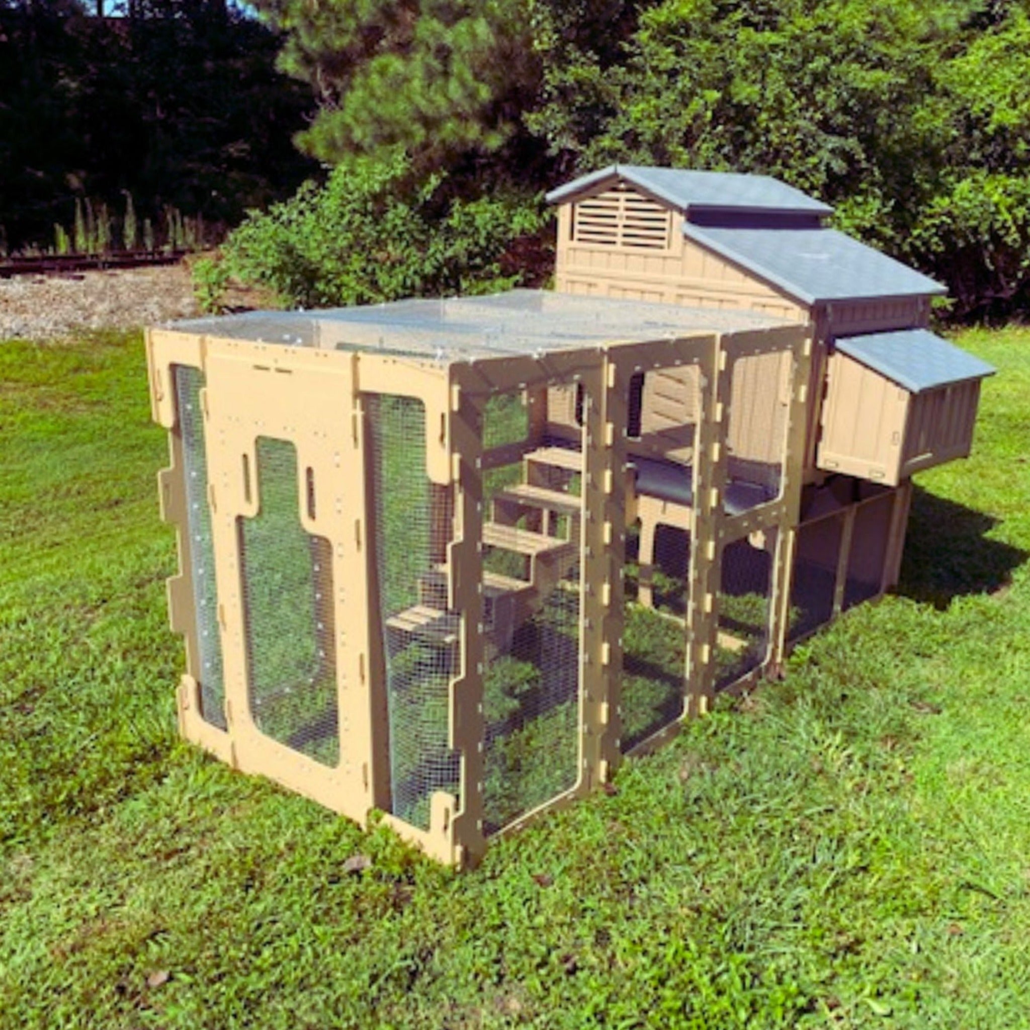 Hatching Time Large Chicken Coop with Stand and Stairs & Run