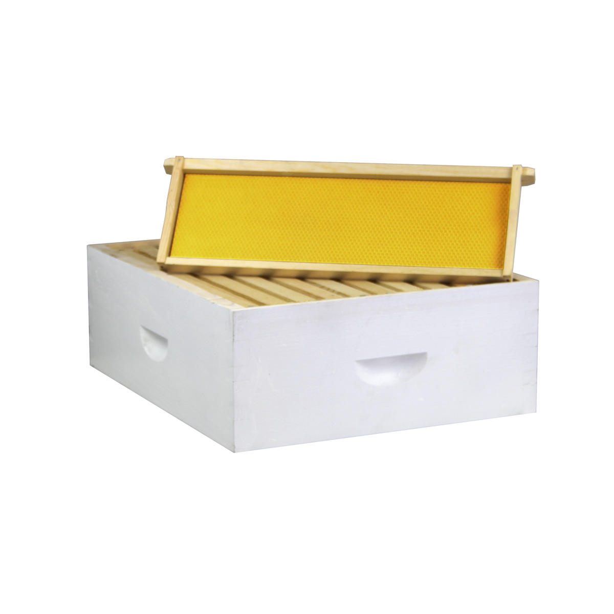 Galena Farms LBH10-1D1M-PA Amish-Made 10 Frame Beehive Painted and Assembled