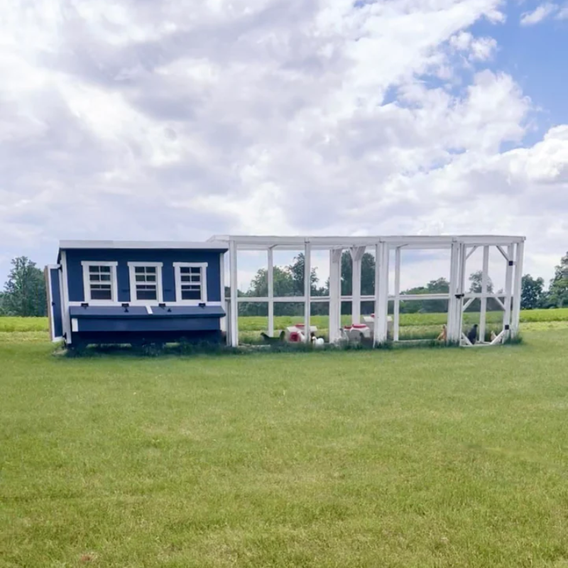 OverEZ Chicken Coop XL Blue Front outdoor