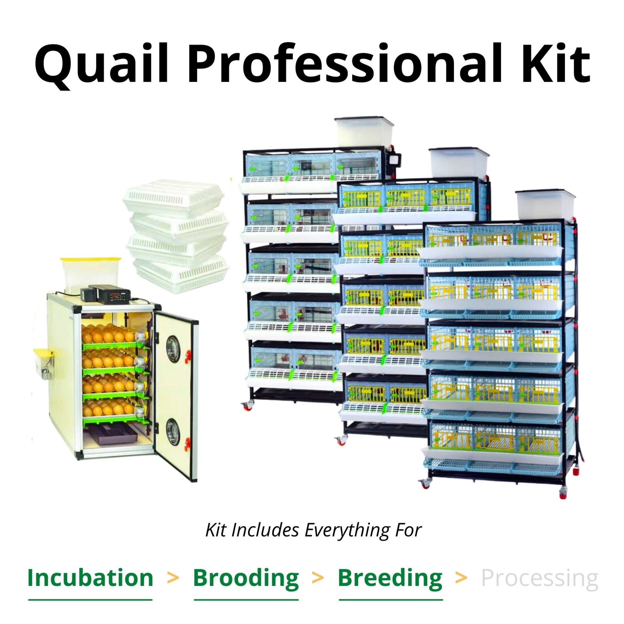 Hatching Time Quail Professional Kit