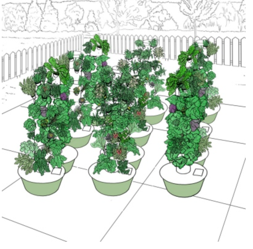 Tower Garden Community 12-System Set