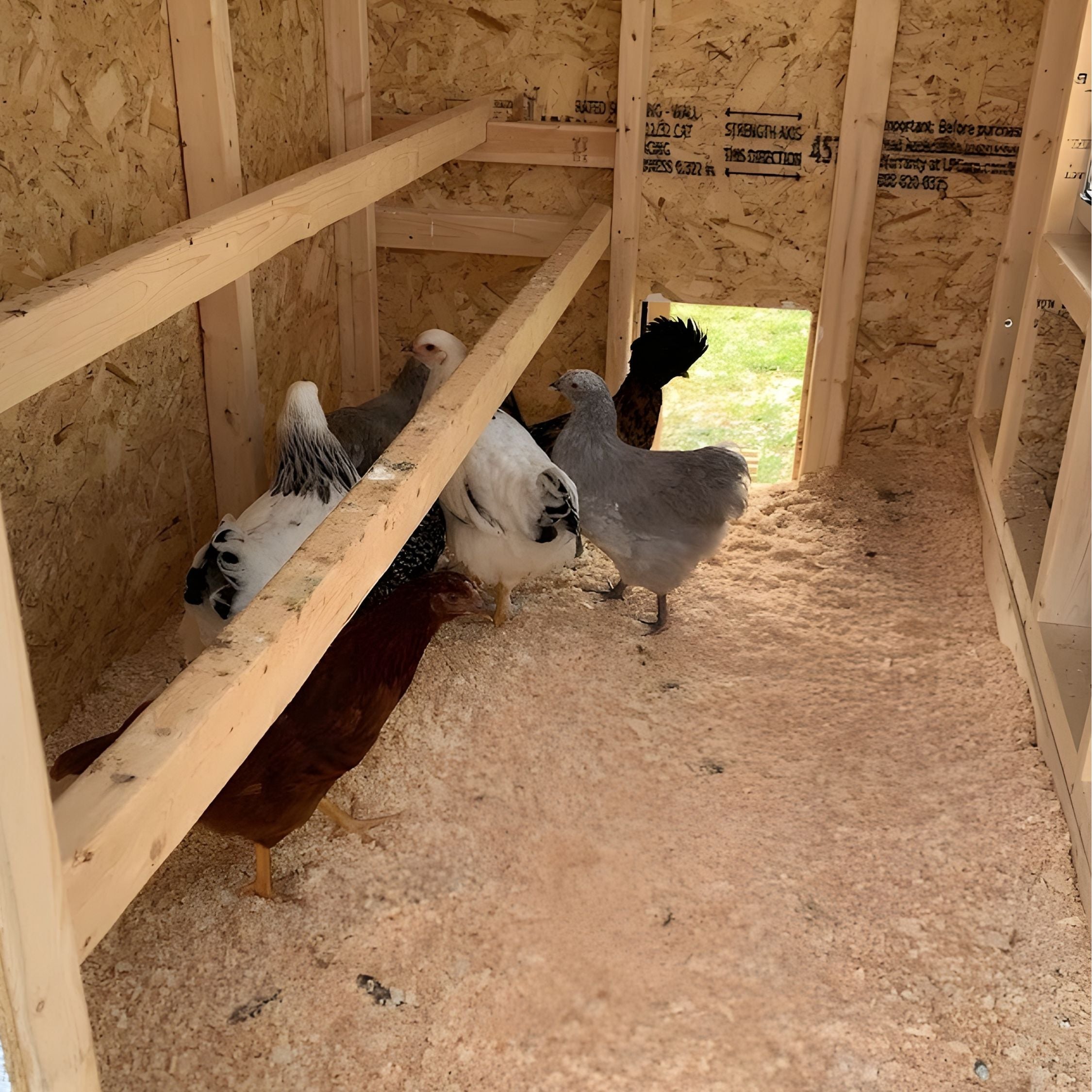 OverEZ Chicken Coop Medium - Up to 10 Chickens