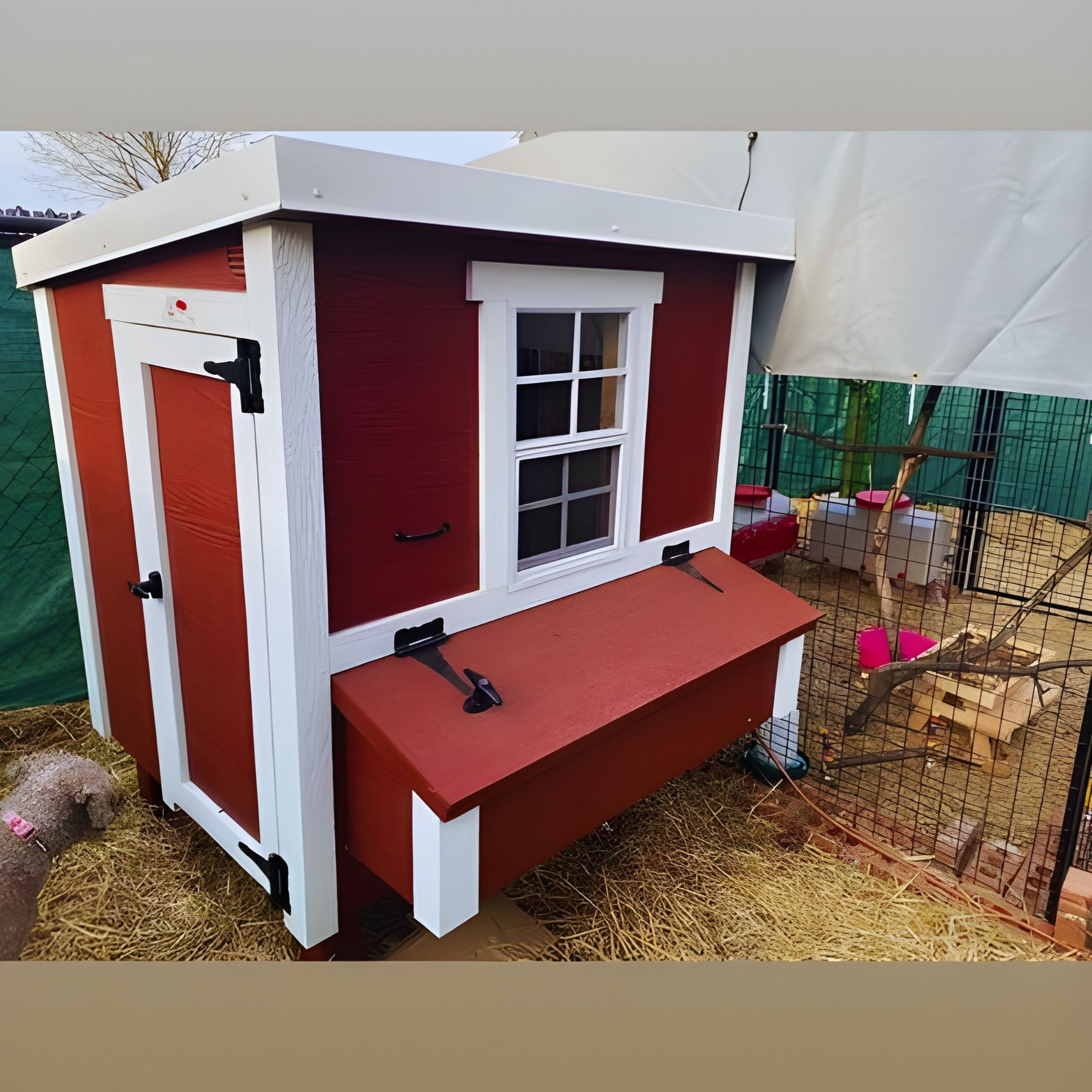 OverEZ Chicken Coop Medium - Up to 10 Chickens